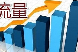 原力博客网赚特训营第五章:月赚十万精准流量变现项目
