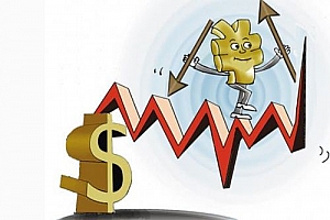 介绍9个冷门报利合法项目,认真做好一个年入百年
