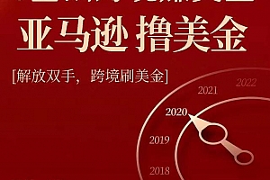 亚马逊撸美金项目,0基础跨境赚美金,解放双手,跨境刷美金【视频课程】