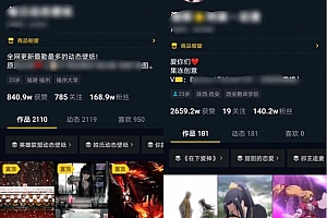 详细拆解抖音美图音乐号案例,适合新手操作!