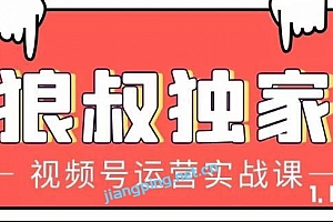 狼叔视频号运营实战课,带你深度入手微信视频号1.0【视频教程】