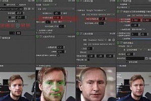 视频换脸+实时直播换脸(软件+模型+教程)