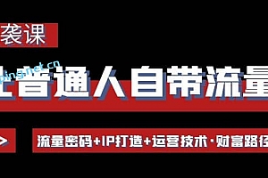 让普通人自带流量的逆袭课:流量密码 IP打造 运营技术·财富路径