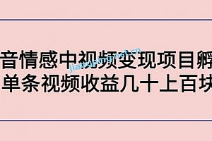 抖音情感中视频变现项目孵化