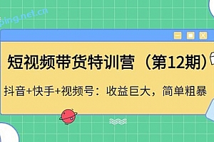 短视频带货特训营(第12期)抖音+快手+视 频号