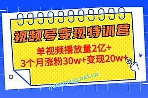 20天视频号变现特训营:单视频播放量2亿+