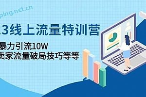 2023线上流量特训营:中小卖家流量破局技 巧等等