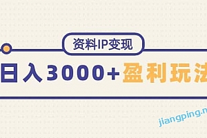 资料 IP 变现,持续性盈利玩法