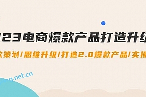 2023电商爆款产品打造升级课:爆款策划/思维升级/打造2.0爆款产品/【推荐】