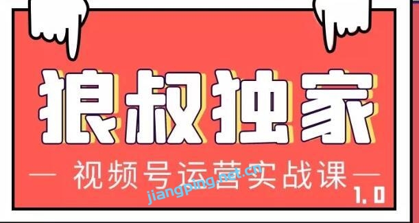 狼叔视频号运营实战课，带你深度入手微信视频号1.0【视频教程】